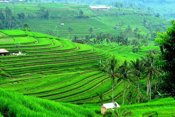 Beratan , lake side temple tour , all inclusive - Stop 4: Taman Ayun Temple, Water Surroundings, and Mengwi
