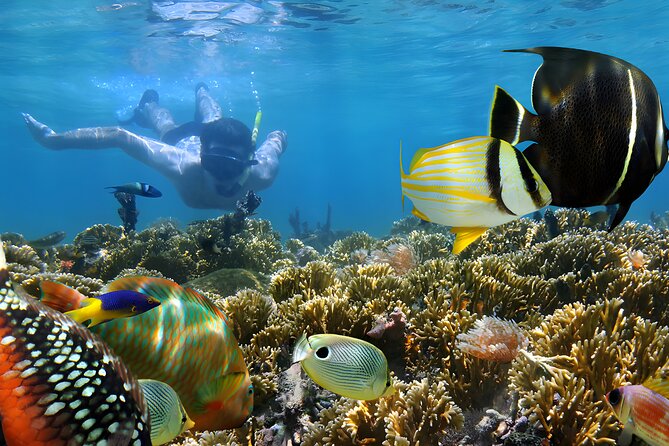 Best Bali Snorkeling at Blue Lagoon Beach: All-Inclusive - Equipment and instruction: how the tour keeps it safe and simple