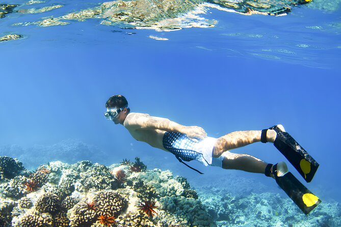 Best Bali Snorkeling at Blue Lagoon Beach: All-Inclusive - Lunch and the small comfort perks that make the difference