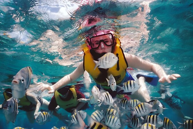 Best Bali Snorkeling at Blue Lagoon Beach: All-Inclusive - Price and value: what $60 buys you in real terms