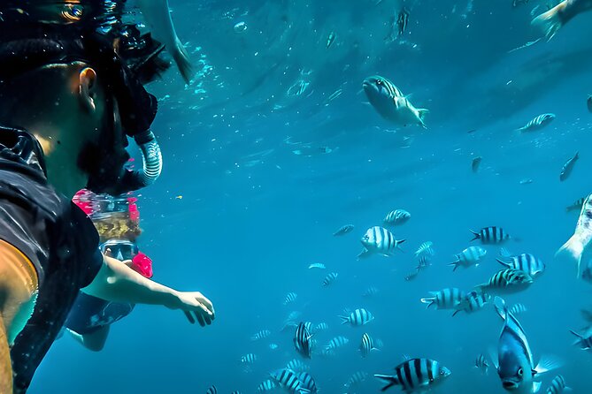 Best Bali Snorkeling at Blue Lagoon Beach: All-Inclusive - Who this Blue Lagoon and Tanjung Jepun combo is best for