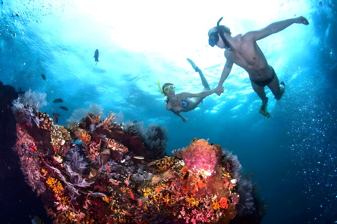 Best Bali Snorkeling at Blue Lagoon Beach: All-Inclusive - Tanjung Jepun in Amuk Bay: where the reef keeps going