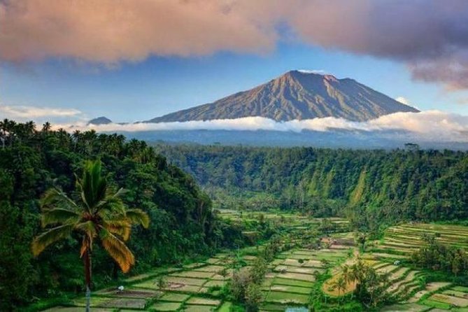 Best bali transport service - custom your own itinerary - Key things that make this Bali private car day work