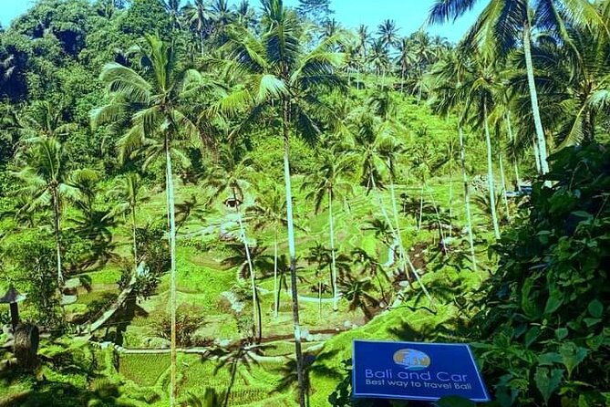 Best bali transport service - custom your own itinerary - Sanur and Denpasar: practical bases for a calmer route