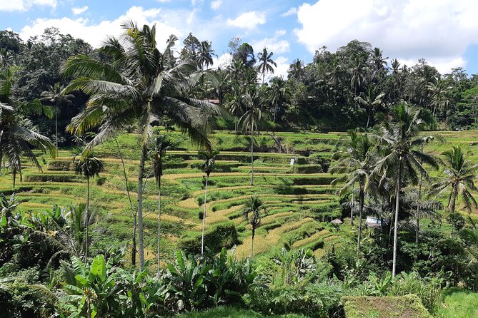 Best Bali Ubud Full Day All-Inclusive Private Tour - A temple start at Pura Puseh Desa Batuan (and why sarongs matter)