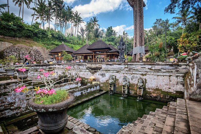 Best of Bali : Bali Temples , Rice Terrace and Waterfall Tour - Stop 2: Elephant Cave (Goa Gajah) and the mood shift to stone + jungle