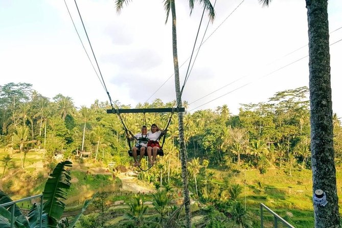 Best of Bali Jungle Swing with Ubud Sightseeing Tour - Tirta Empul Temple: Where the Holy Spring Water Is the Whole Point