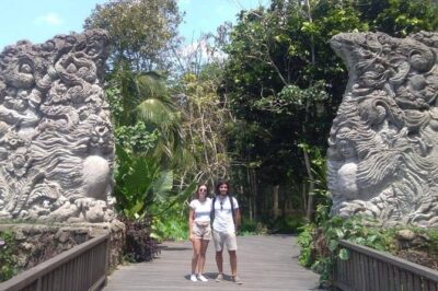 Best of Bali Jungle Swing with Ubud Sightseeing Tour - Tegalalang Rice Terraces: Swing Time With Big Terrace Views