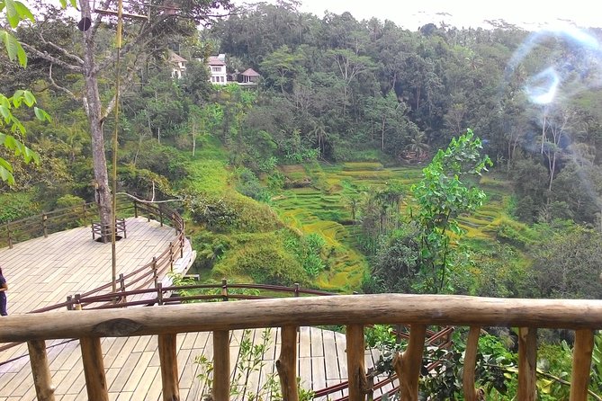 Best of Bali : Ubud, Rice terrace, Tanah lot temple with Lunch - The price makes sense when you total up the inclusions