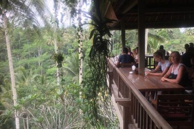 Best of Bali : Ubud, Rice terrace, Tanah lot temple with Lunch - Stop-by-stop: how the day flows