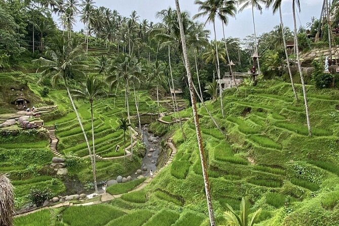 Best of Instagram Tour: Gate of Heaven, Tirta Gangga, Bali Swing - Lunch, Comfort, and the Guide Factor That Changes Everything