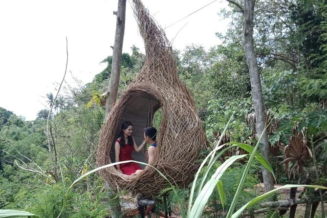 Best of Ubud Full Day Private Guided Tour - Tegalalang rice terraces and lunch with views