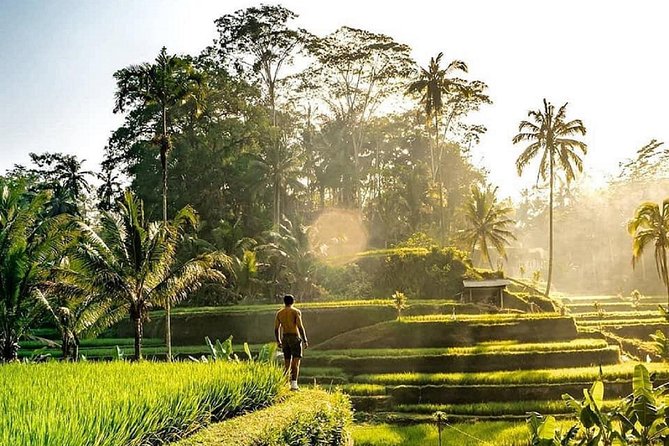 Best of Ubud - Full day Tour + FREE WI-FI - Key Highlights You’ll Feel on Day One