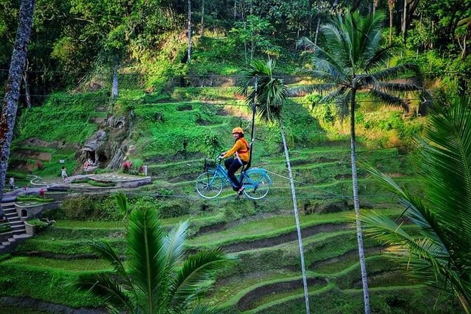 Best of Ubud - Full day Tour + FREE WI-FI - Tegalalang Rice Terrace and the SUBAK Irrigation System