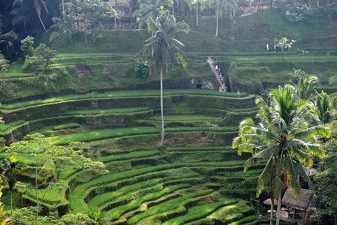 Best Of Ubud Private Day Tour With Local Guide - Getting around: pickup, pacing, and the Bali traffic factor
