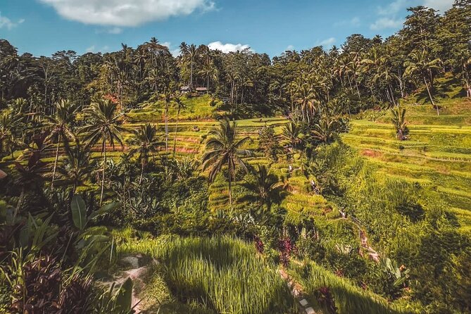 Best Of Ubud Private Day Tour With Local Guide - Stop 2: Tegalalang Rice Terraces for easy walking and big views