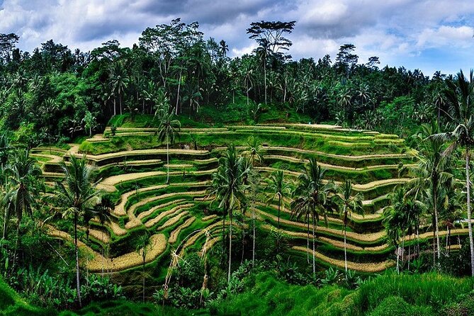 Best Of Ubud Private Day Tour With Local Guide - Stop 4: Tegenungan Waterfall for a fast nature reset near Ubud
