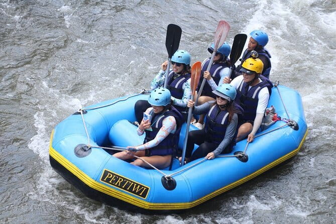 Best Of Ubud Rafting And Swing All Inclusive - Private tour transport: why the drivers’ style matters