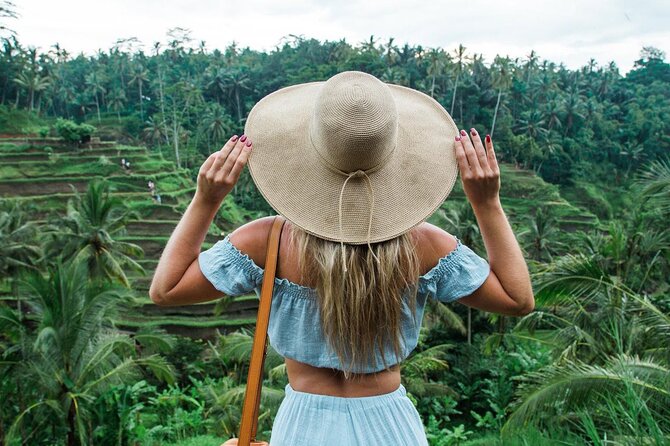 Best of Ubud: Rice Terrace, Temple and Waterfall Private Tour - Why This Private Ubud Day Feels Easier Than DIY