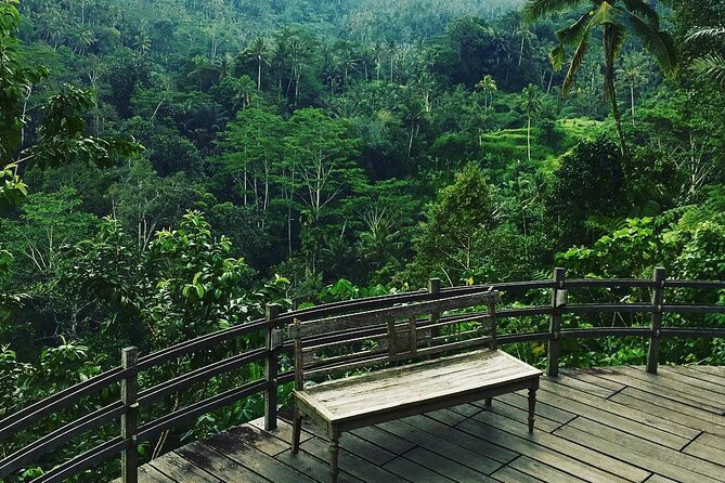 Best of Ubud: Rice Terrace, Temple and Waterfall Private Tour - Sacred Monkey Forest Sanctuary: Shade, Temples, and Close-Up Wildlife