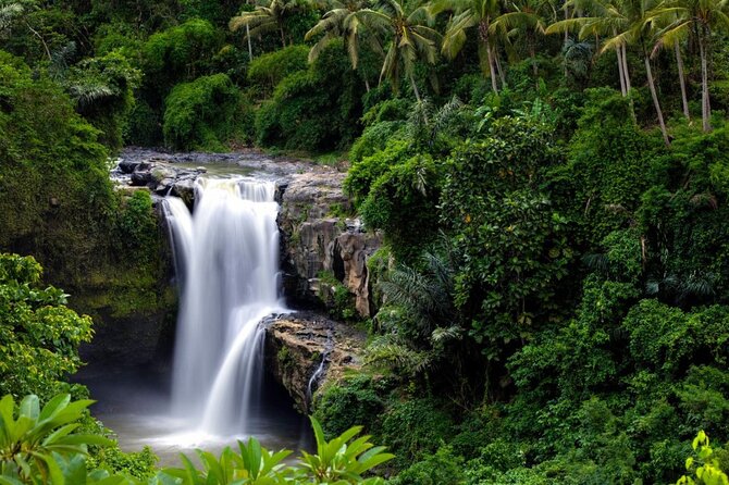 Best of Ubud: Rice Terrace, Temple and Waterfall Private Tour - Ubud Palace, Pasar Ubud, and Campuhan Ridge Walk