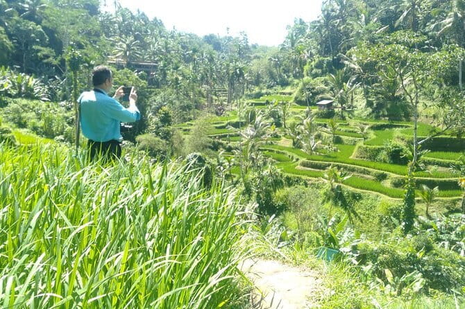 Best Of Ubud Scenic Full Day Private Guided Tour - Key points before you go