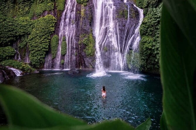 Best Of Ubud Scenic Full Day Private Guided Tour - Price and value: what you’re really paying for at $20 per person