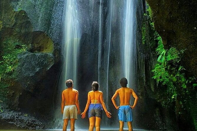 Best Of Ubud Scenic Full Day Private Guided Tour - Transport and comfort: pickup coverage matters