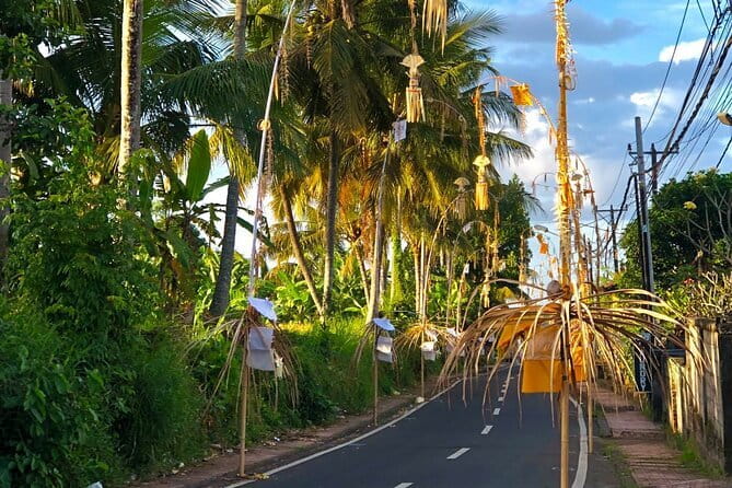 Best Of Ubud Scenic Full Day Private Guided Tour - Tegalalang rice terrace and the practical photo timing at Happy Swing Bali