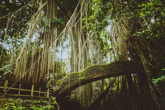 Best of Ubud Sightseeing Private All Inclusive Tour - Painting and gallery time at Ngurah Painting Galery