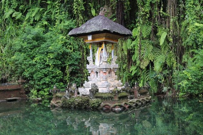 Best of Ubud with Jungle Swing Experience - Price and What You’re Actually Buying