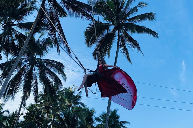 Best of Ubud with Jungle Swing Experience - Tegalalang Rice Terraces and Bali Irrigation Basics (Views Plus Useful Context)