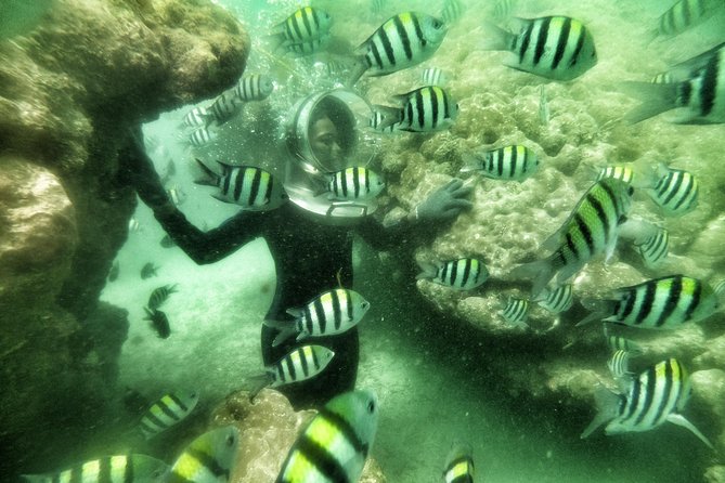 Best Package 3 in One Water Sport - Price and value: is $95 a smart deal in Tanjung Benoa?