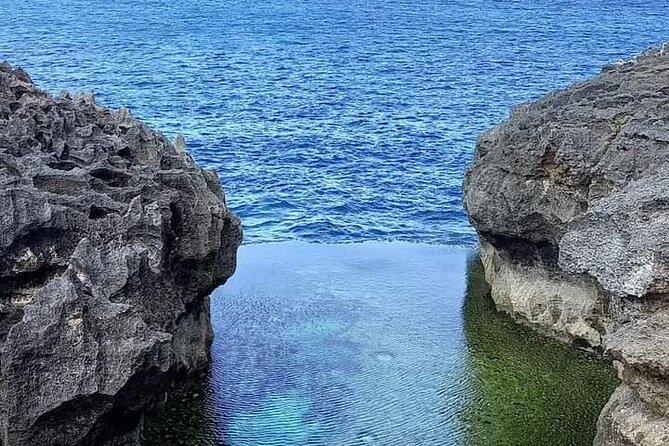 Best Seller West Nusa Penida Island Private Guided Tour - Crystal Bay: Swim Time and Shore Snorkeling Without a Boat