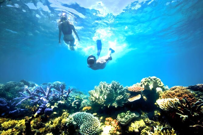Best Snorkeling Activity in Blue Lagoon Beach Bali - Your Snorkeling Instruction: Why It Improves the Reef Time