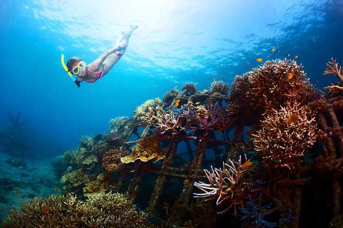 Best Snorkeling Activity in Blue Lagoon Beach Bali - The Reef at Blue Lagoon Beach: Calm Water, Coral, and That Easy-Going Feeling