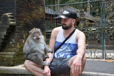 Best Ubud & Tanah Lot Excursion - Sacred Monkey Forest Sanctuary: watch long-tailed macaques in an hour