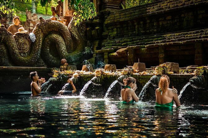Best Ubud Tour Private Tour All Inclusive Package - Key highlights before you go