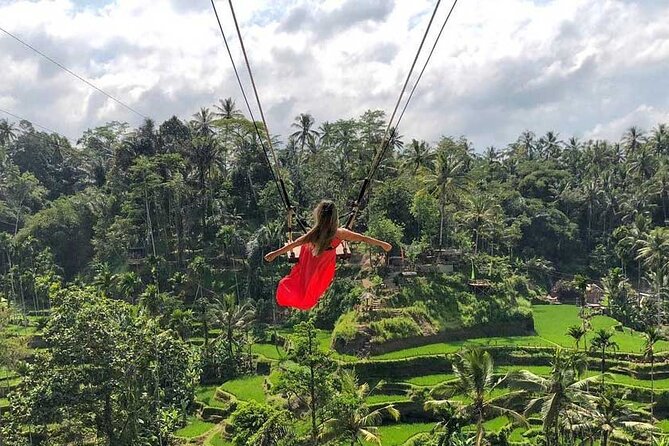 Best Ubud Tour Private Tour All Inclusive Package - A private Ubud day that hits the right notes