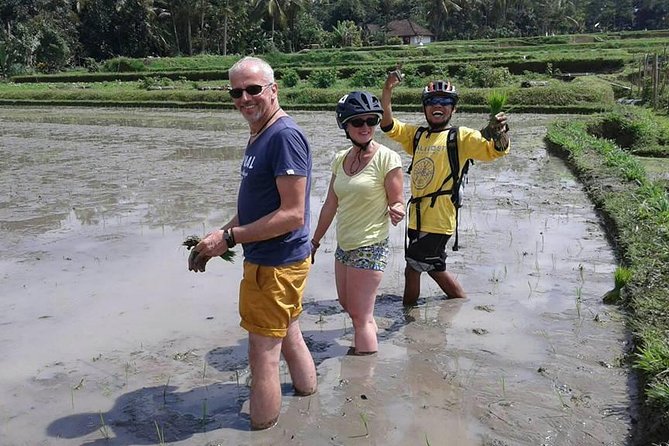 Bike ride in the rice fields, Bali countryside - Lunch overlooking rice fields and a river: why the meal is the best ending