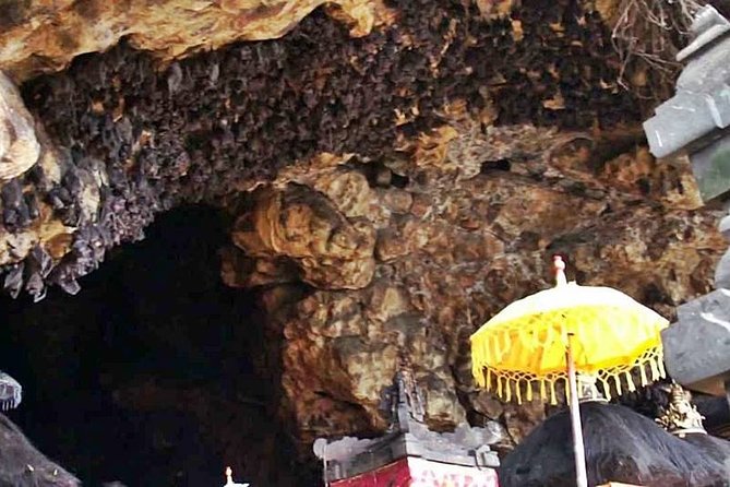 Blow Lagoon Bali Snorkeling and see Bali Bats Cave Temple - Booking advice: make this day work for you