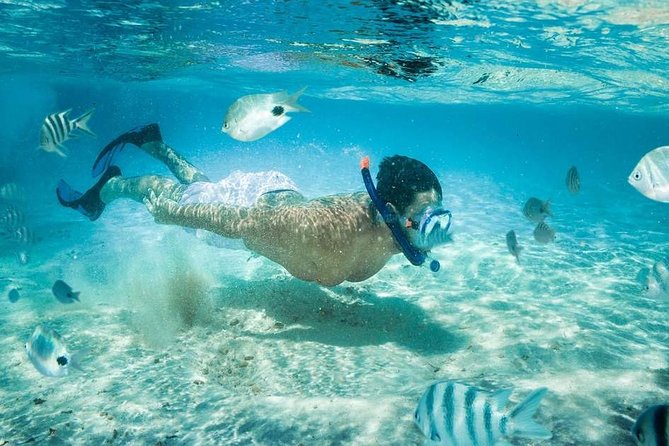 Blow Lagoon Bali Snorkeling and see Bali Bats Cave Temple - Blue Lagoon snorkeling near Padang Bai: what you’ll see