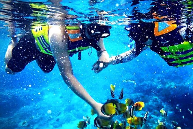 Blue Lagoon Paradise Snorkeling Tour - Key things to know before you go