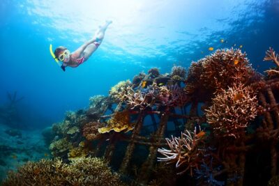Blue Lagoon Snorkeling and Uluwatu Sunset Tour - Blue Lagoon snorkeling: two spots, guided help, and gear ready