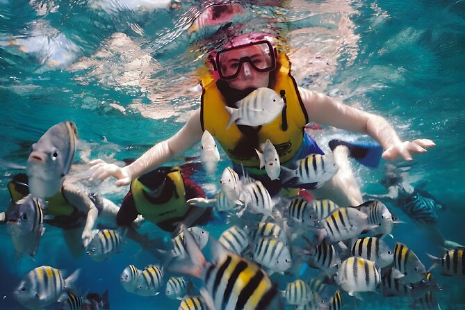 Blue Lagoon Snorkeling - Bali Best Snorkeling Site - Gear, Instructor, and Photo Tips for Macro Underwater Moments