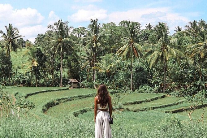 Blue Lagoon Snorkeling - Jungle Swing - Ubud - All Inclusive - Local fish market, viewpoints, and sculptures (based on where you’re staying)