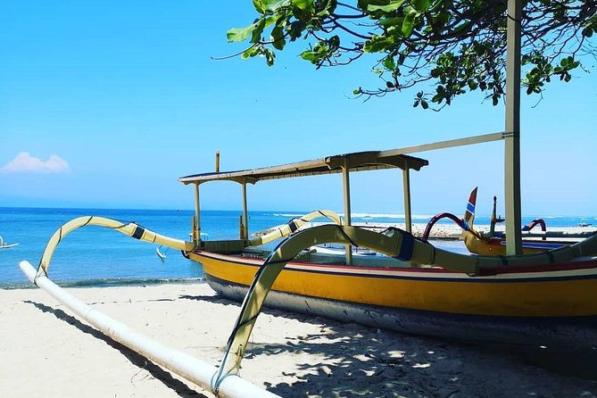 Blue Lagoon Snorkeling - Jungle Swing - Ubud - All Inclusive - Value check: is $101 a good deal for this kind of day?