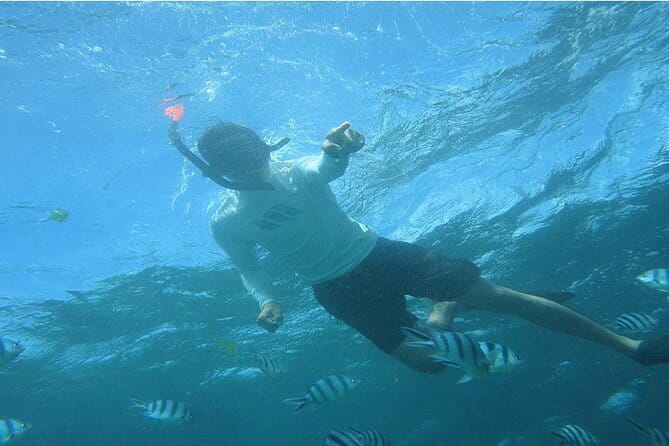 Blue Lagoon Snorkeling with Lunch and Private Transport - Getting to Blue Lagoon from Seminyak without the hassle