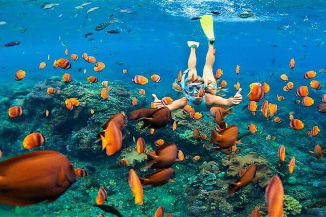 Blue Lagoon Snorkeling with Lunch and Private Transport - Best fit: who will enjoy this snorkeling tour the most