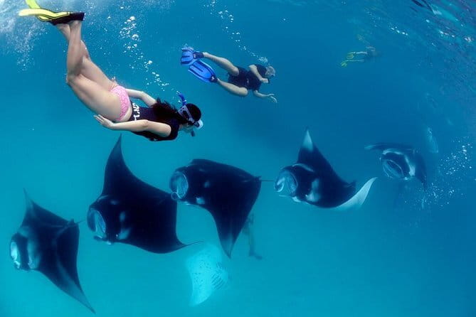 Blue Lagoon Snorkeling with Lunch and Private Transport - Quick booking advice before you go